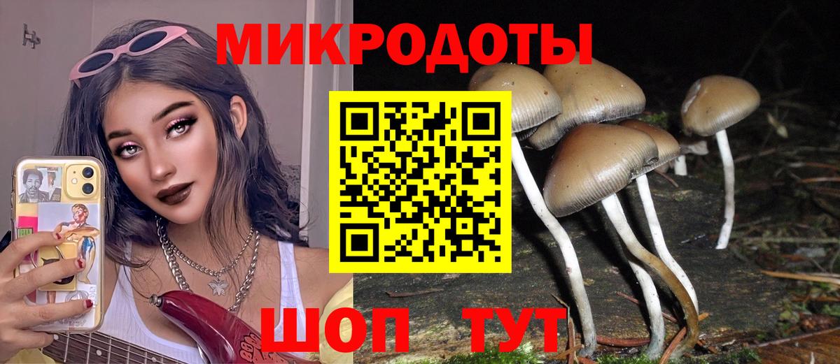 Галлюциногенные грибы ЛСД Урюпинск