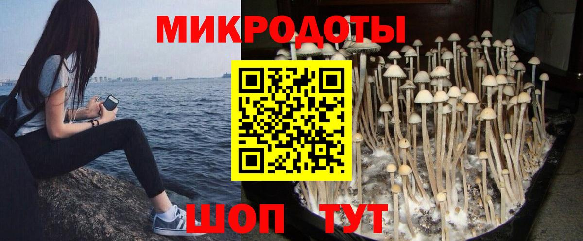 Урюпинск  Псилоцибиновые грибы Magic Shrooms  купить   Вход с VPN 